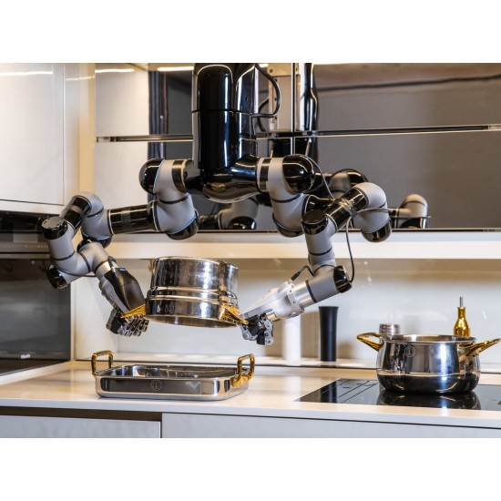 Kitchen Robot Moley