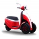 Electric Tricycle Microletta